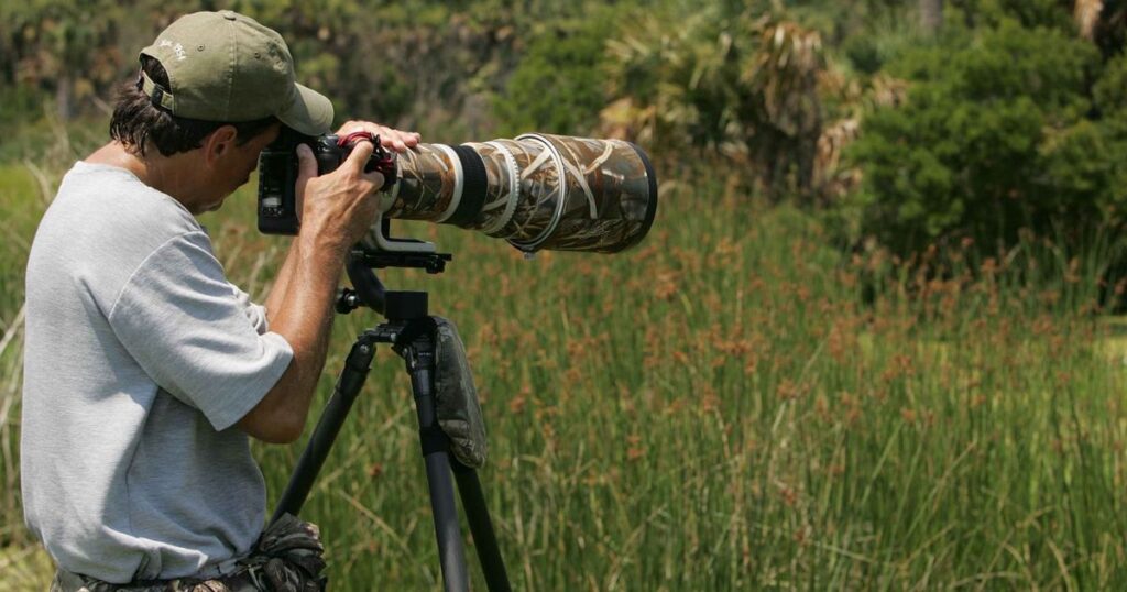 Lens and Land: Wildlife Photography in Coxsackie