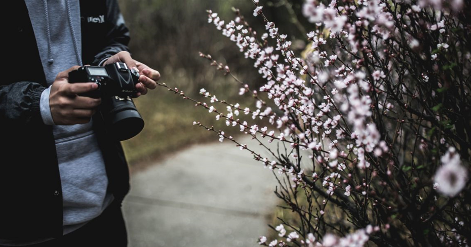 Flower Photography in Coxsackie