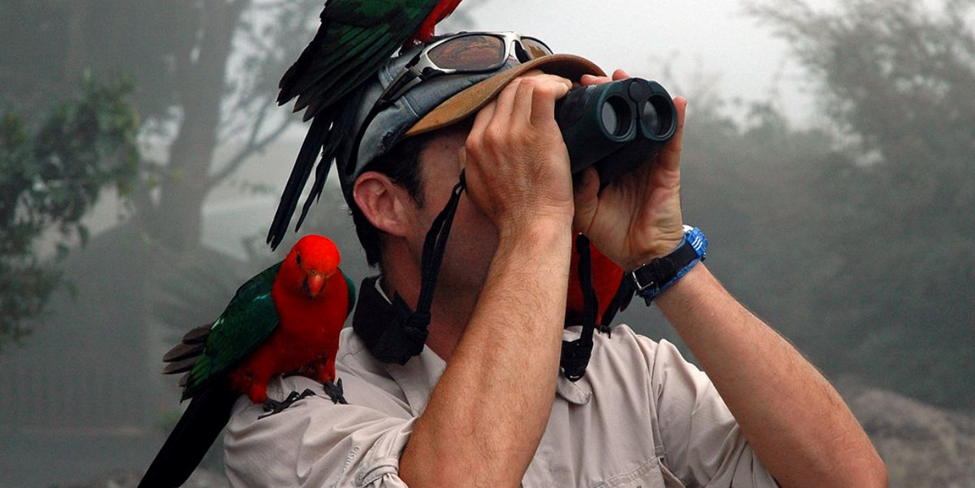 Bird Photo Gear for Coxsackie