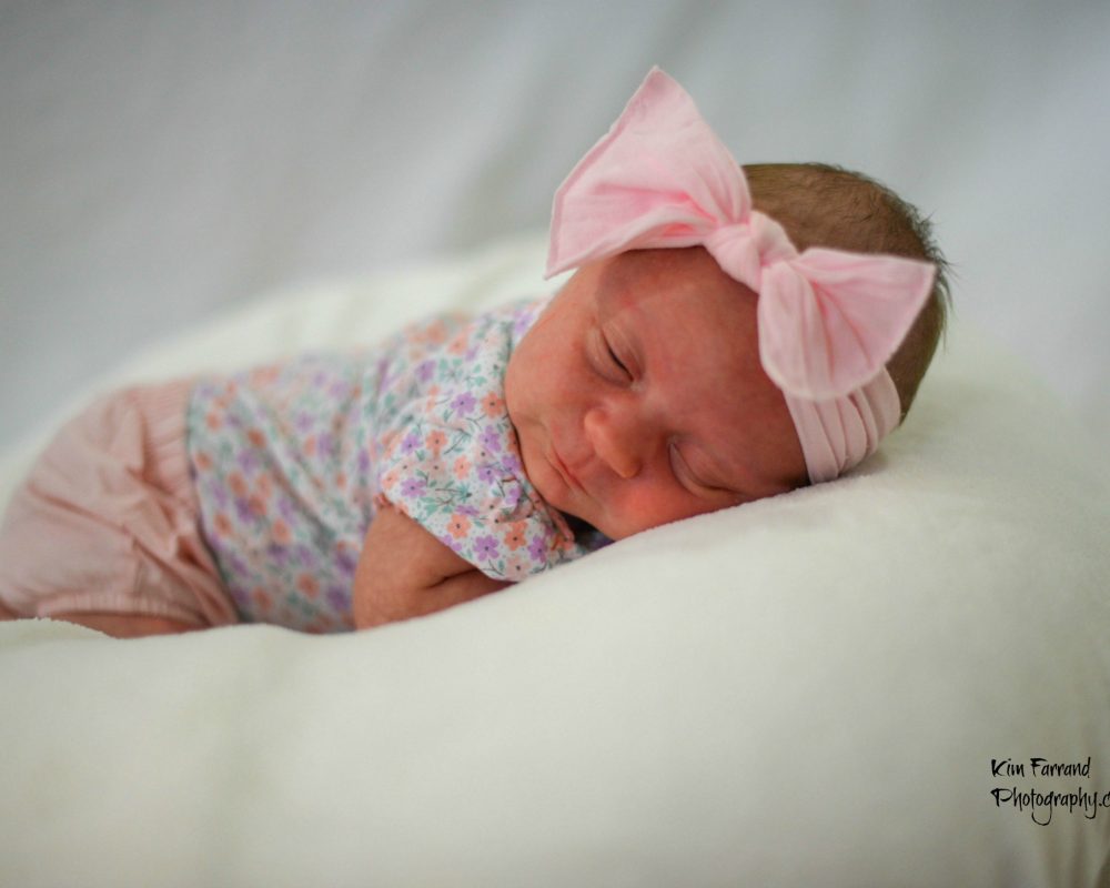 Maternity and Newborn Photographer Coxsackie